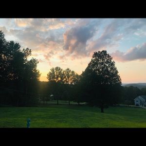 Meet your Posher, Maddie